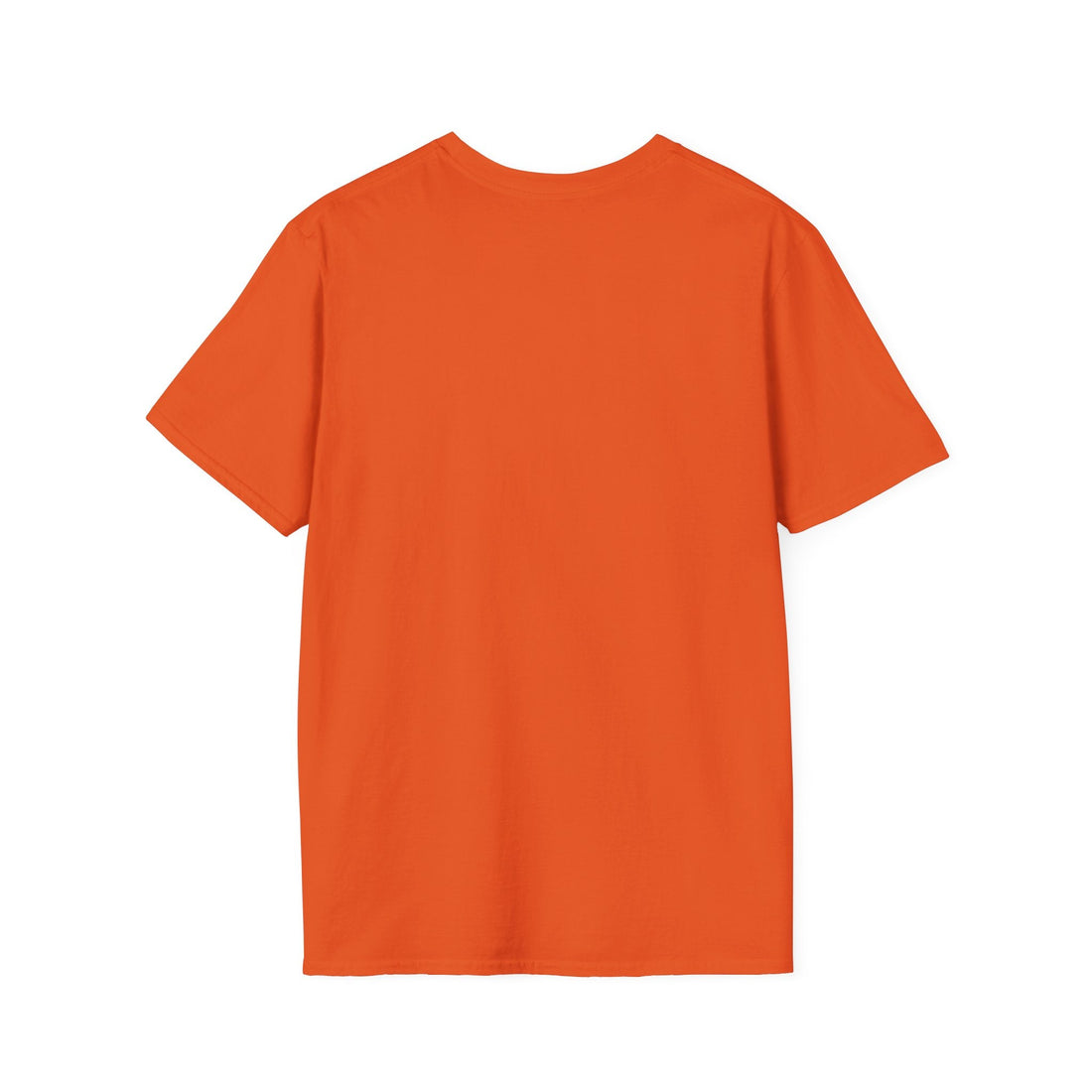 Every Day Is a Good Day To Start Unisex Softstyle T-Shirt
