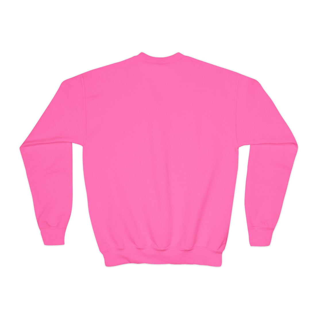 Pursue Your Dreams Youth Crewneck Sweatshirt