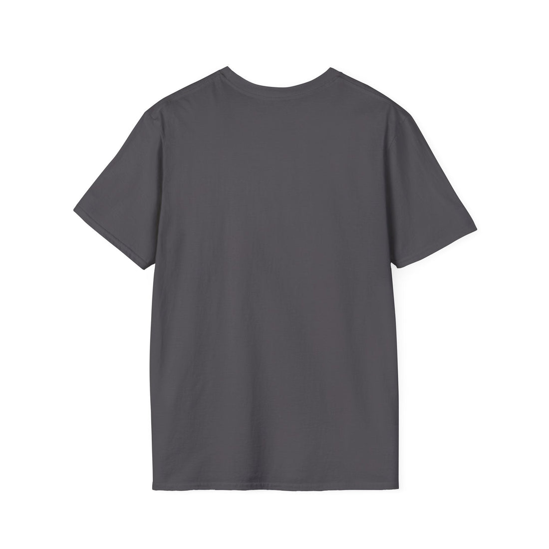 Dream Big Work Hard Unisex Softstyle T-Shirt